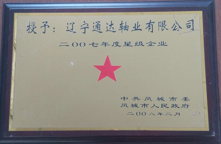 星級企業 2007.jpg