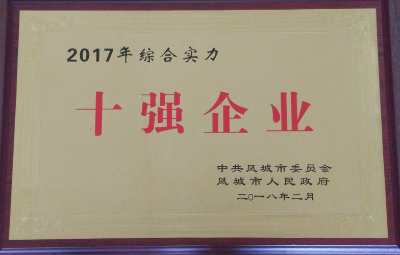 十強企業 2017.jpg
