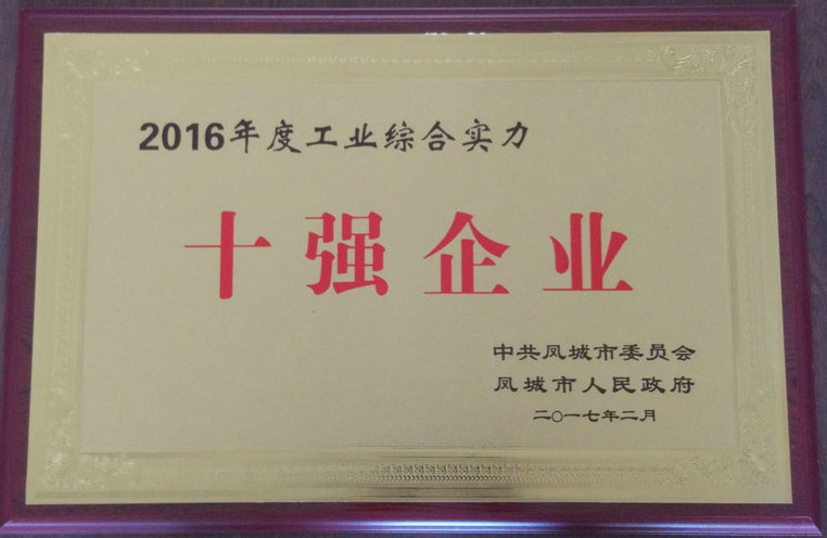十強企業 2016.jpg
