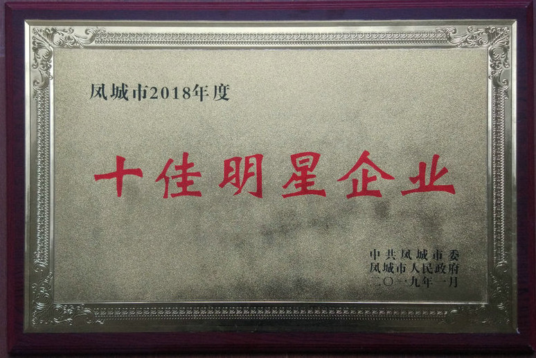 十佳明星企業 鳳城市2018年度.jpg