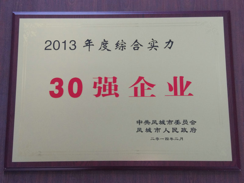 30強企業 2013.jpg