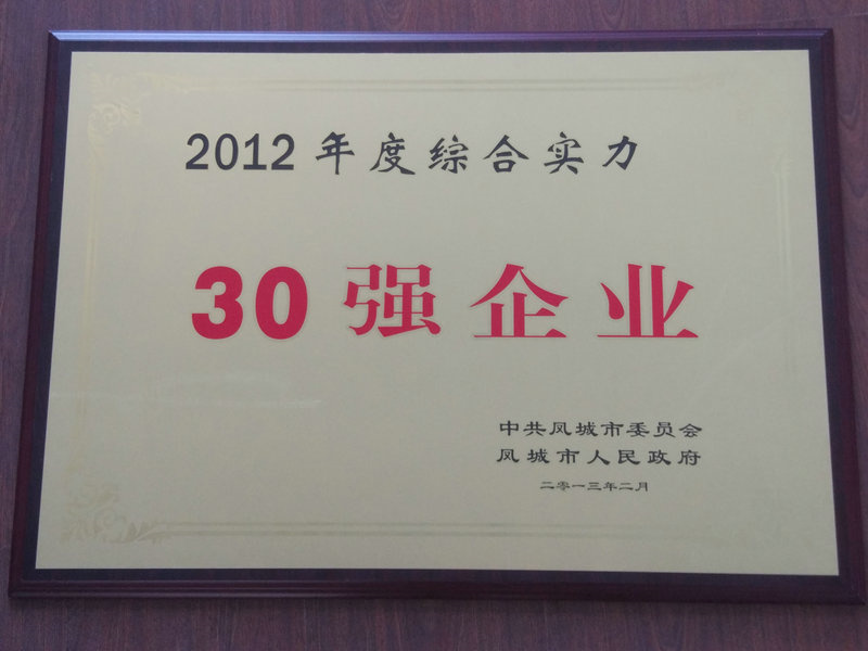 30強企業 2012.jpg