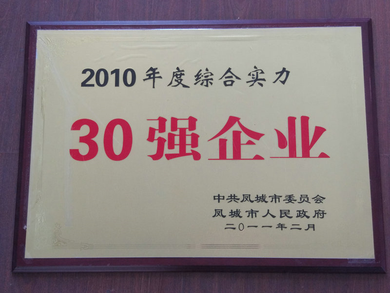 30強企業 2010.jpg