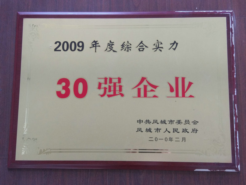 30強企業 2009.jpg